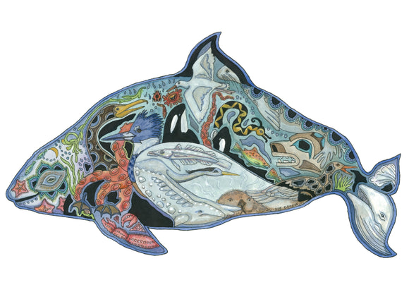 Dall's Porpoise Coasters and Trivets