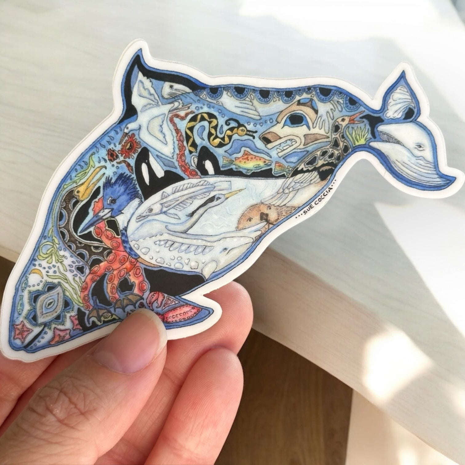 Dall’s Porpoise Sticker