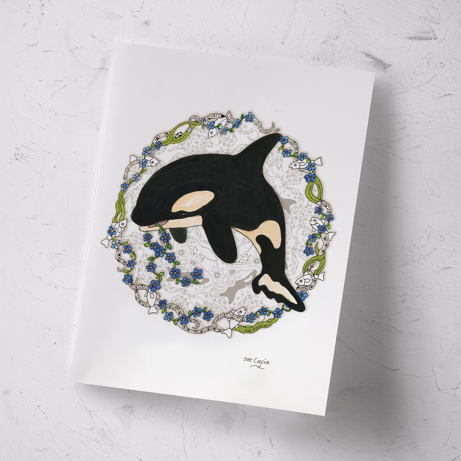 Baby Orca Signed Print