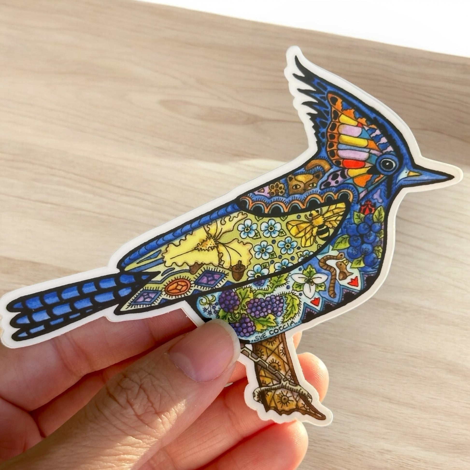 Stellar Blue Jay Sticker