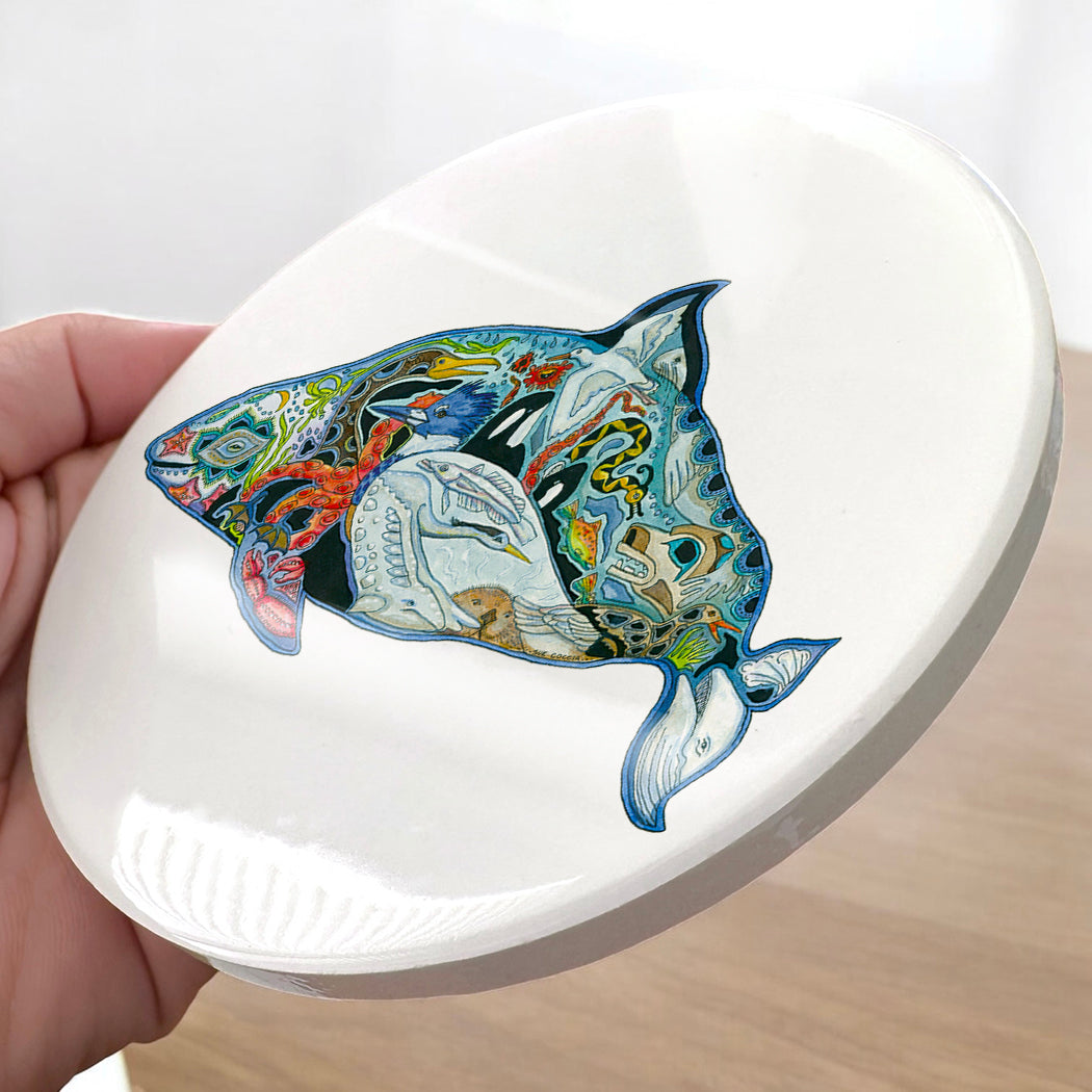 Dall's Porpoise Glazed Ceramic Coaster