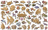Jellyfish Jigsaw Puzzle