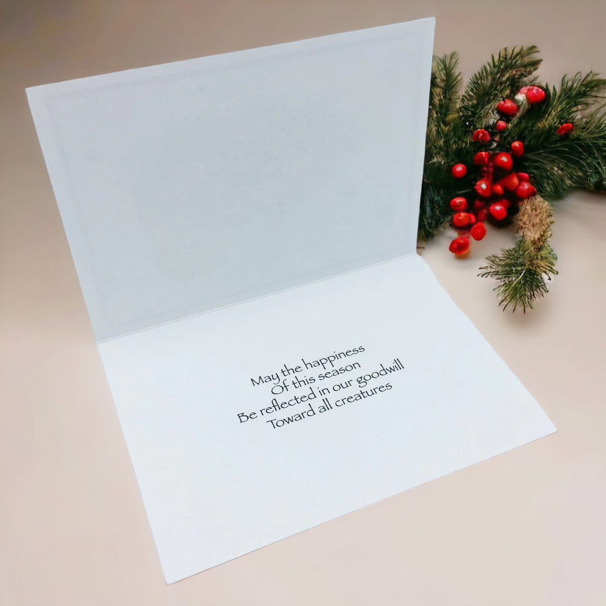 Slug Sleigh Holiday Boxed Card Set (8)