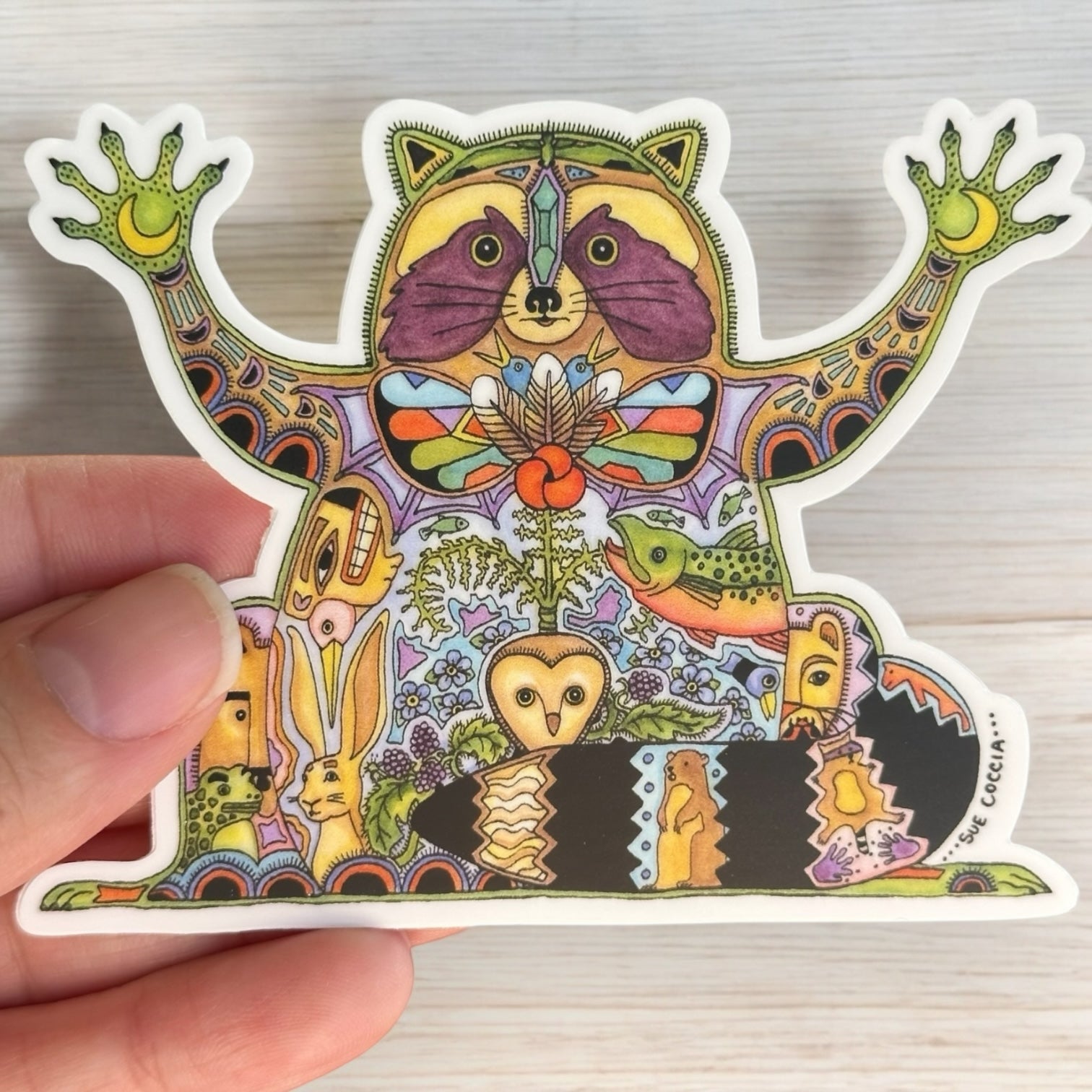 Raccoon Sticker