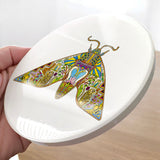 Sphinx Moth Glazed Ceramic Coaster