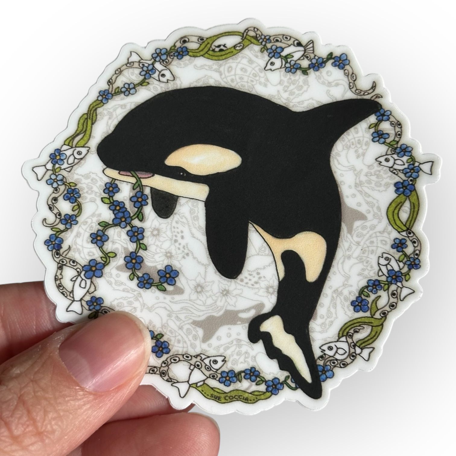 Baby Orca Sticker