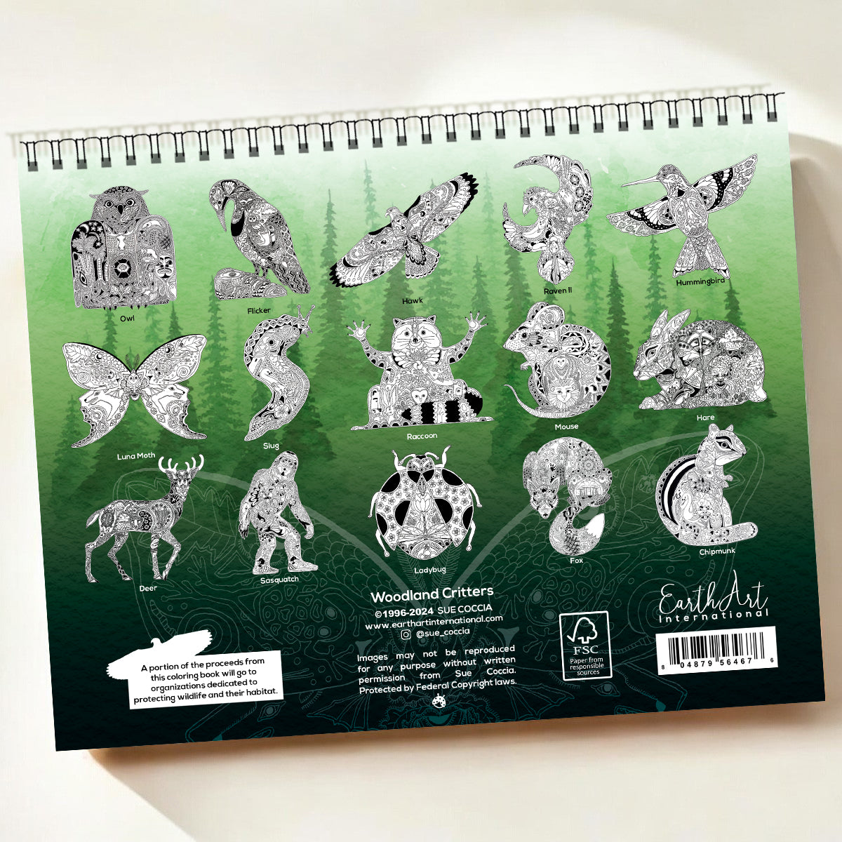 Woodland Critters Coloring Book
