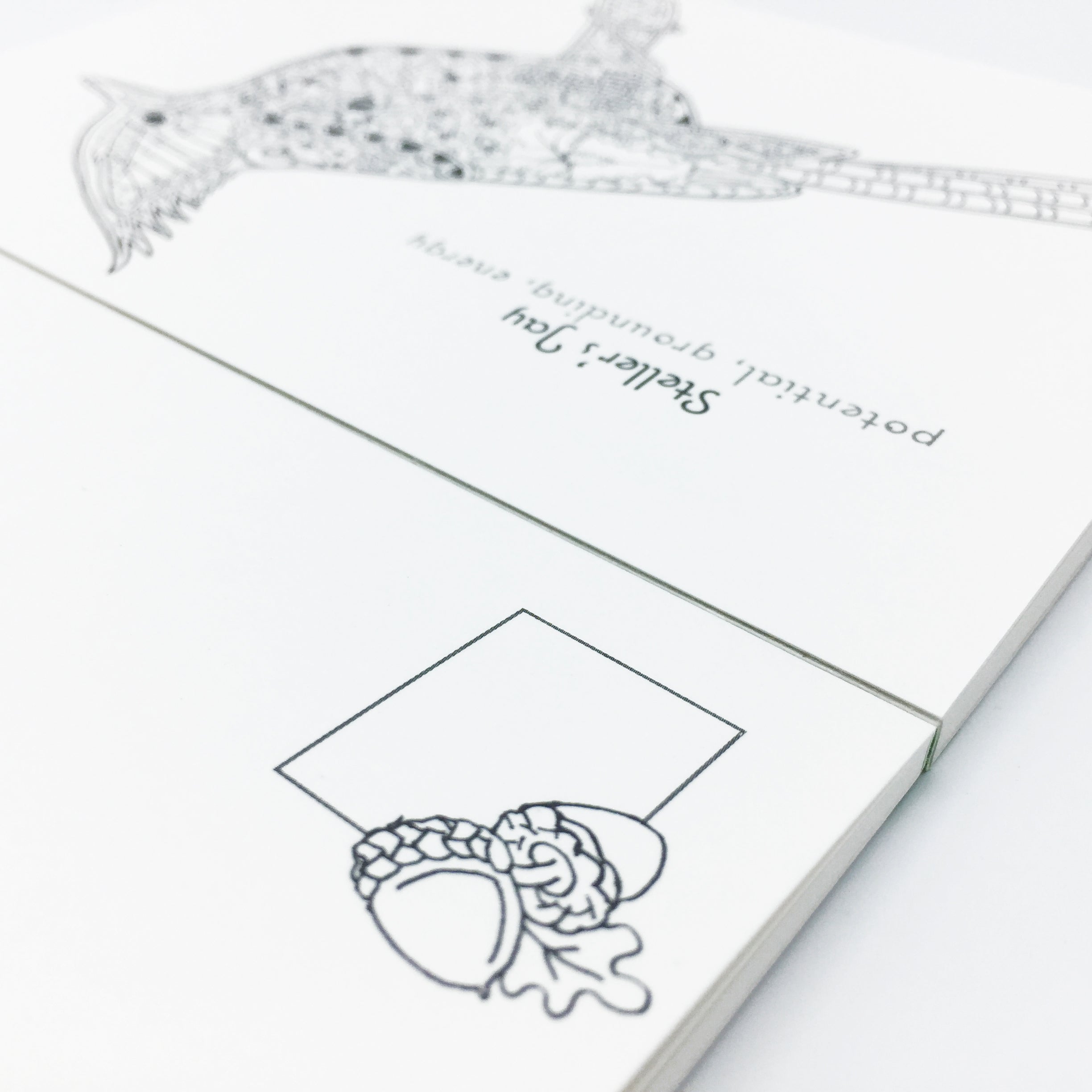 Inner Peace Post Card Book