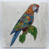 Macaw Coasters and Trivets