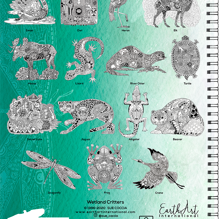 Wetland Critters Coloring Book