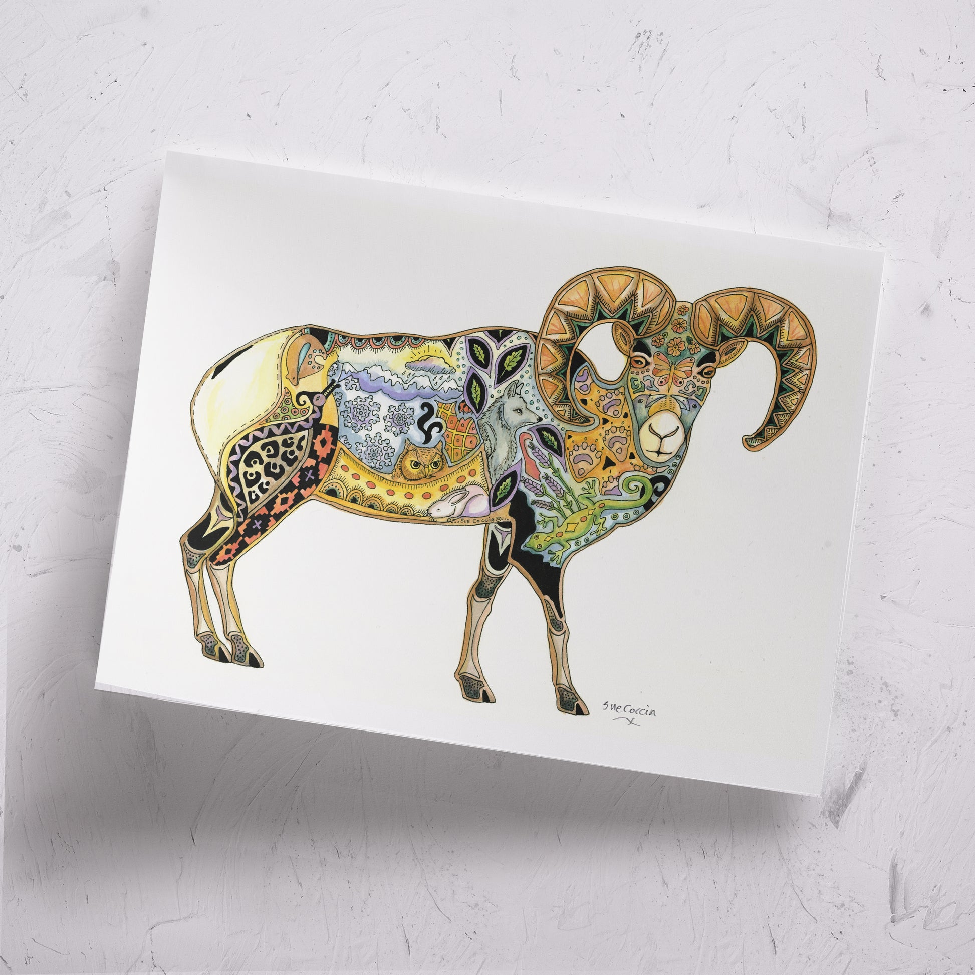 Big Horn Sheep Signed Print