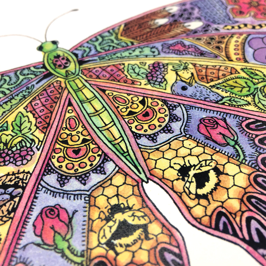 Butterfly Signed Print