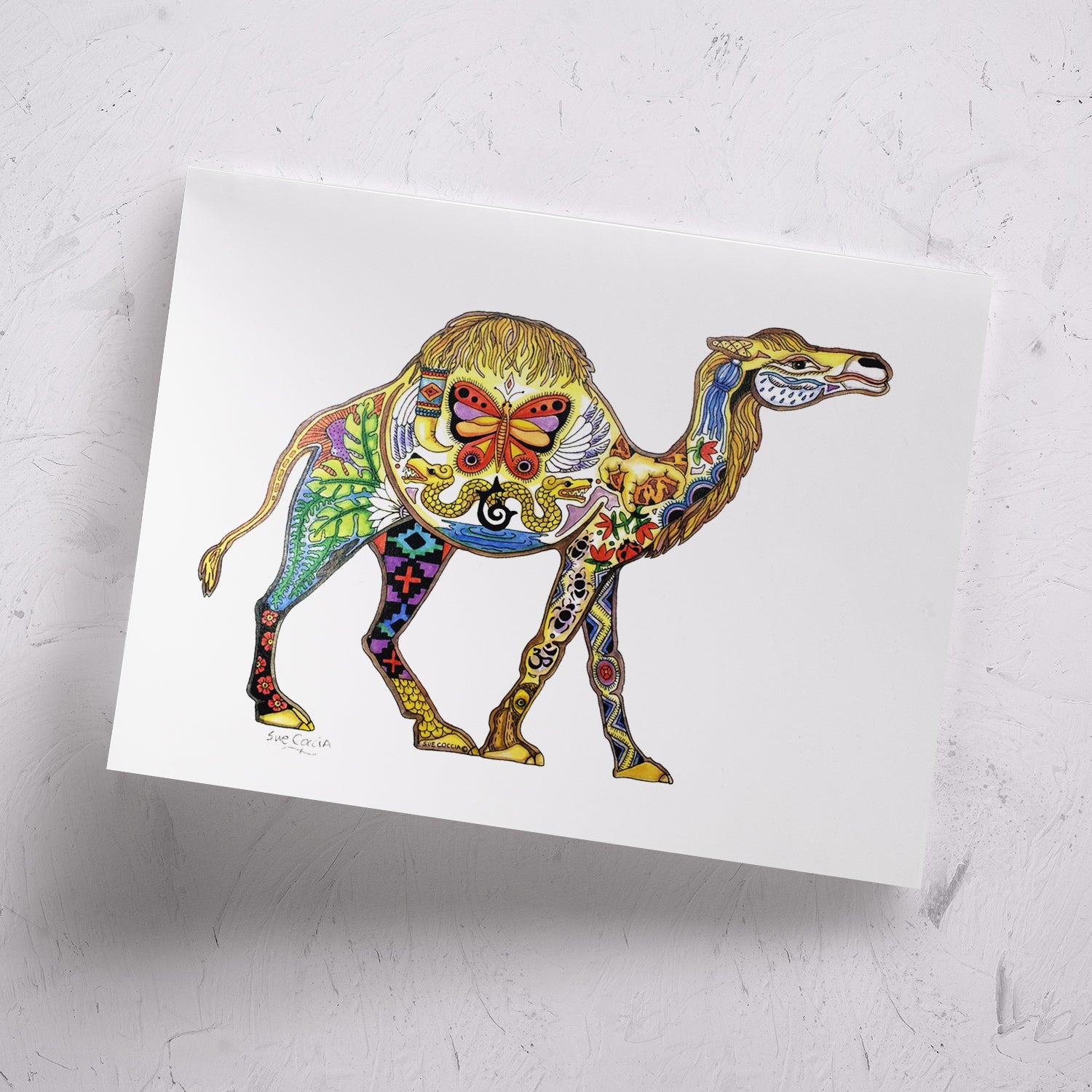 Camel Signed Print
