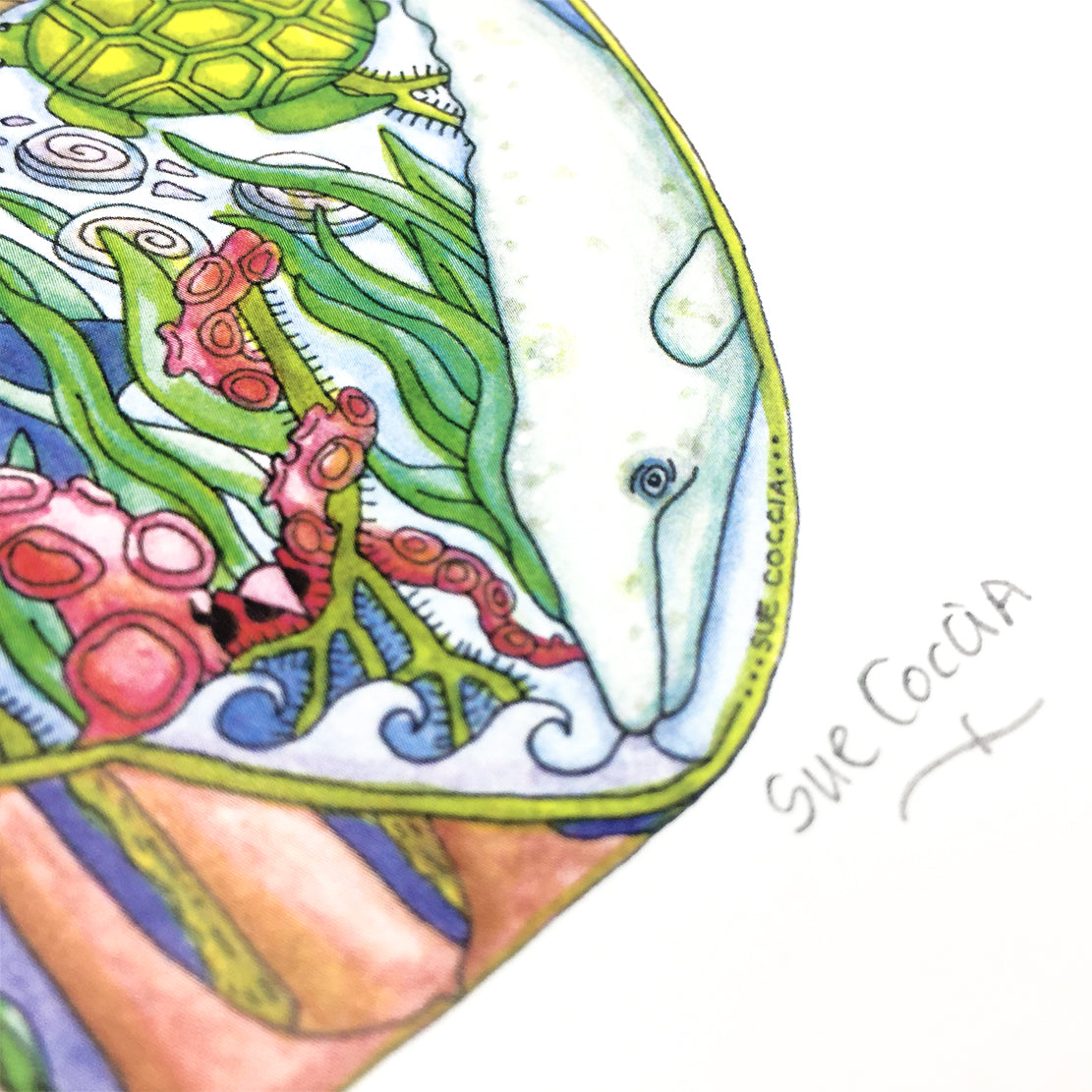 Cascadia Rainforest Signed Print