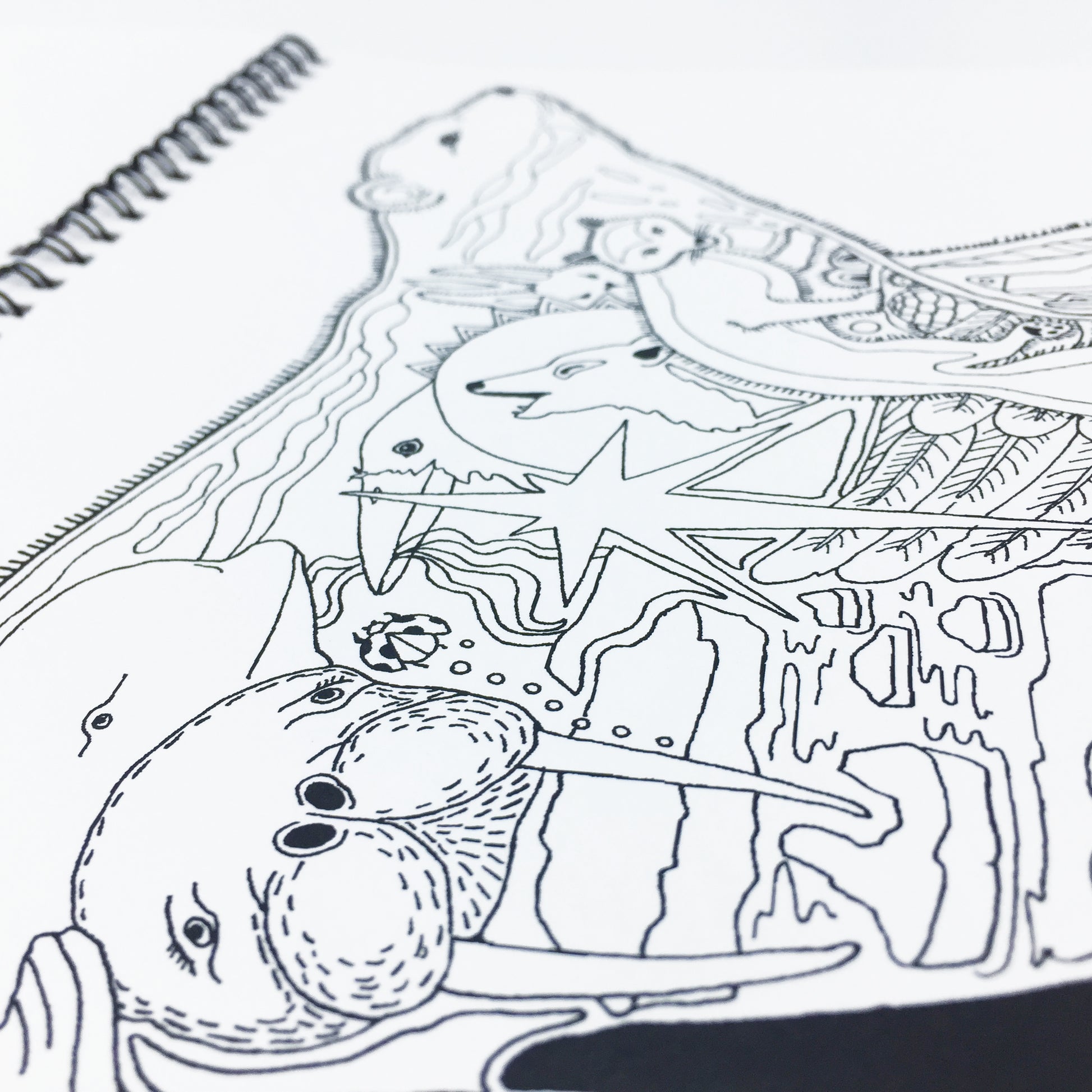 Polar Critters Coloring Book