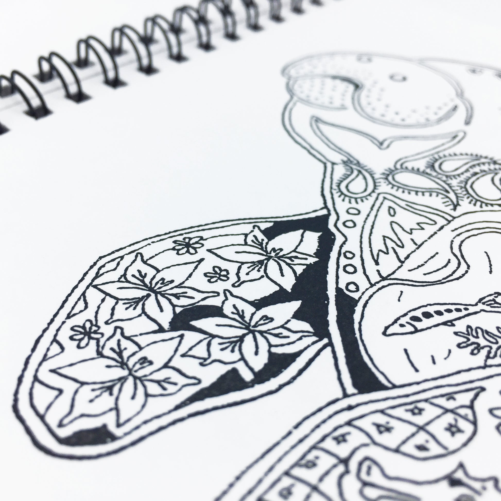 Endangered Critters Coloring Book