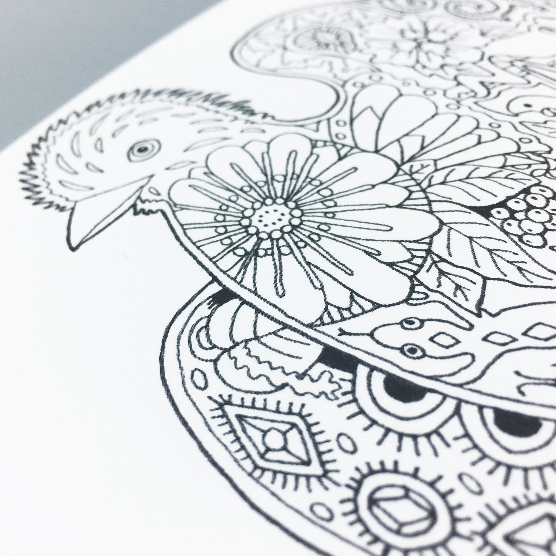 Tropical Critters Coloring Book