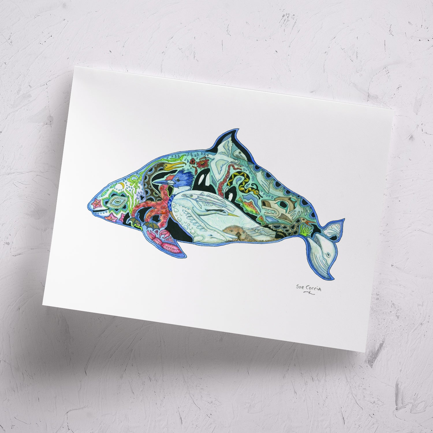 Dall's Porpoise Signed Print