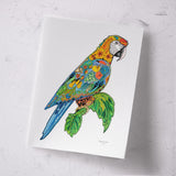 Macaw Signed Print