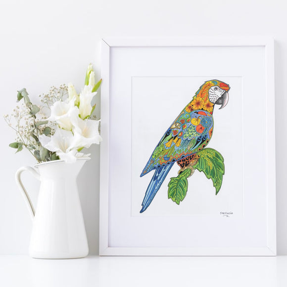 Macaw Signed Print