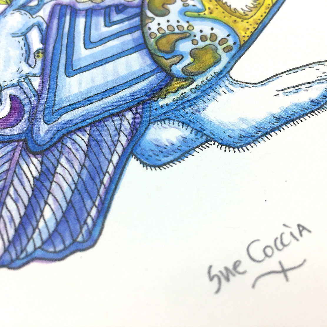 Ptarmigan Signed Print