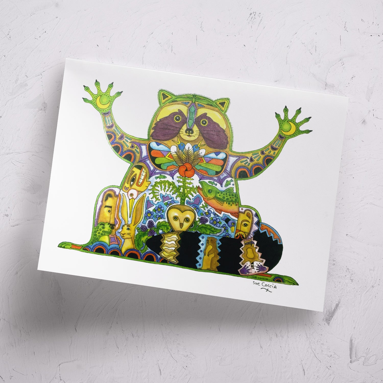 Raccoon Signed Print