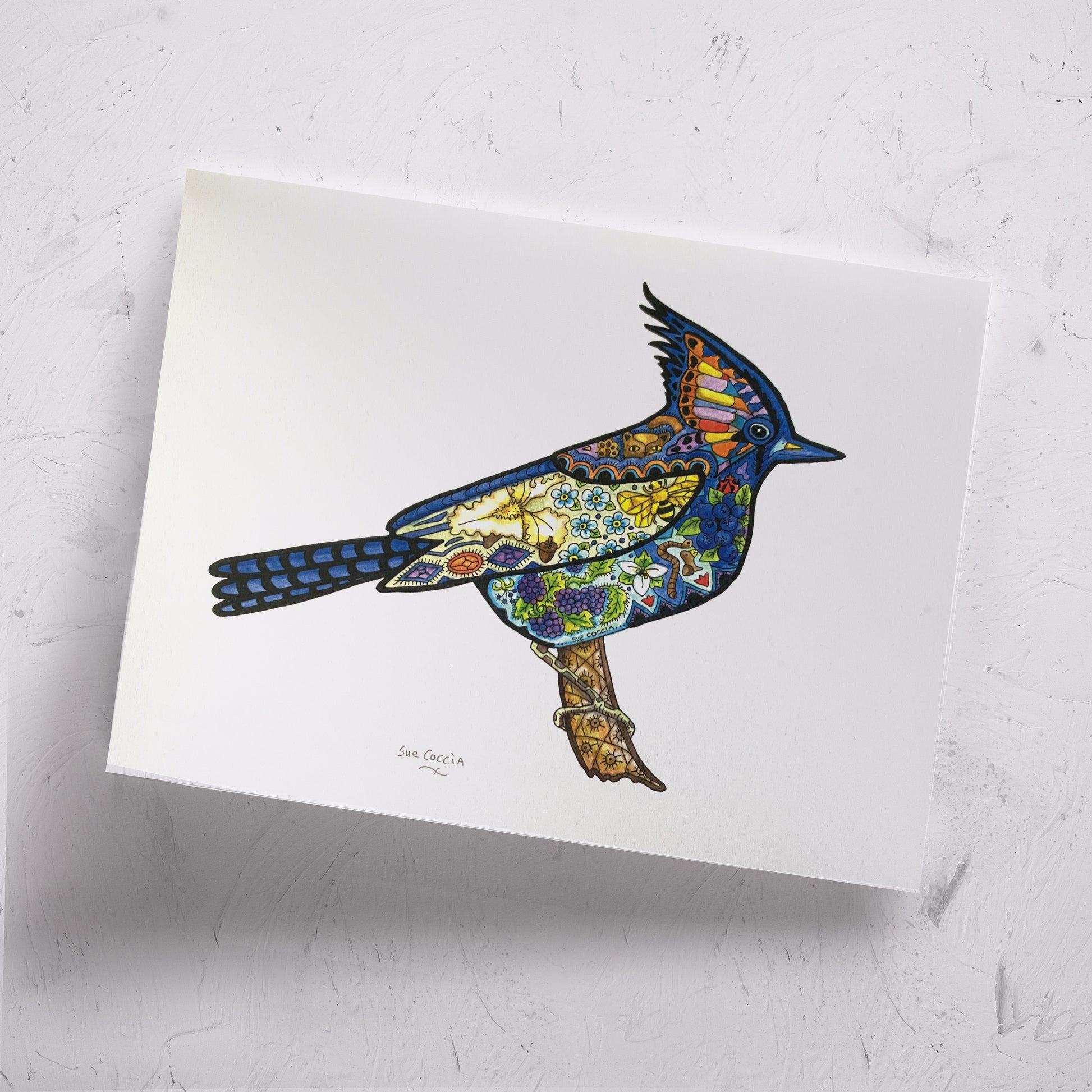 Stellar Blue Jay Signed Print