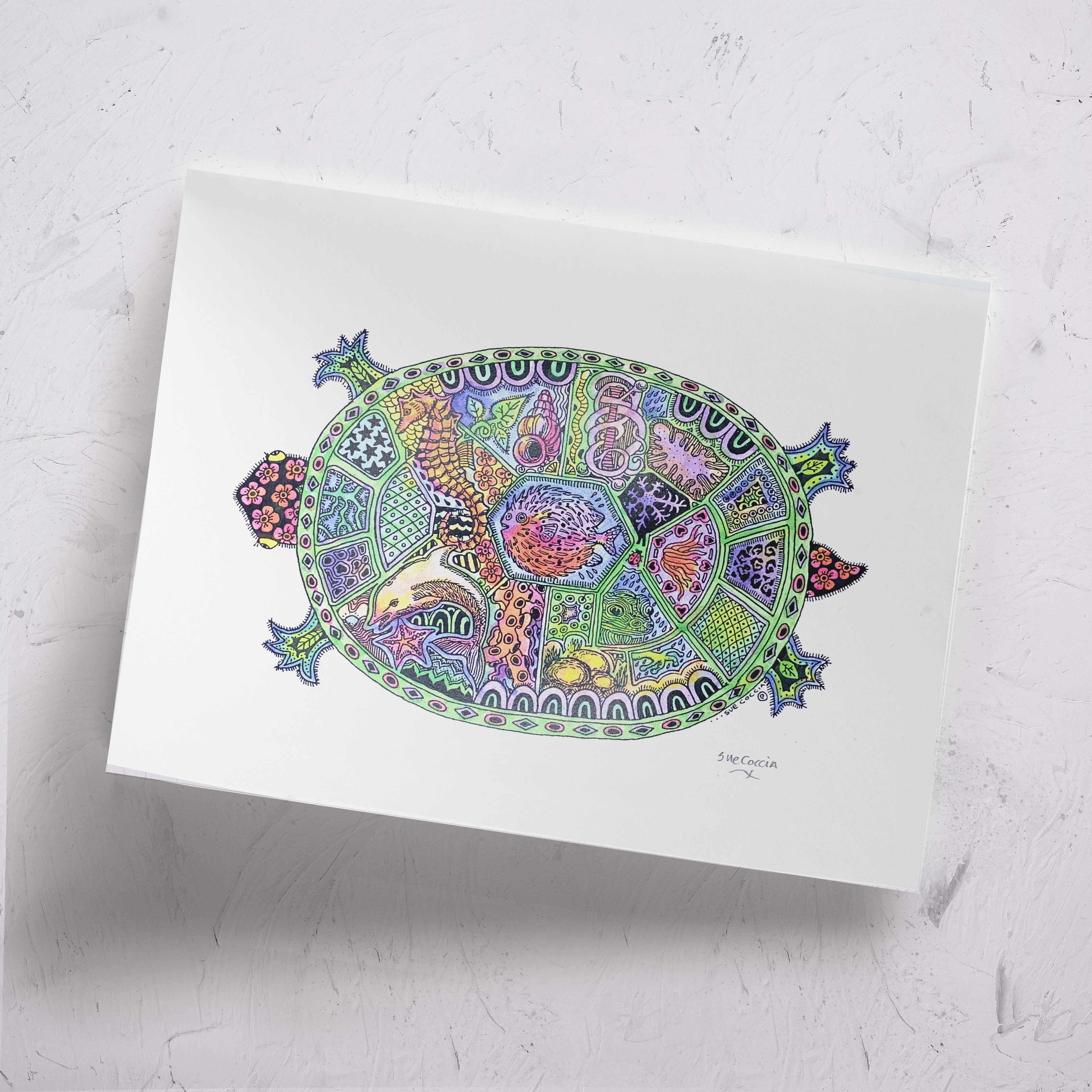Turtle Signed Print