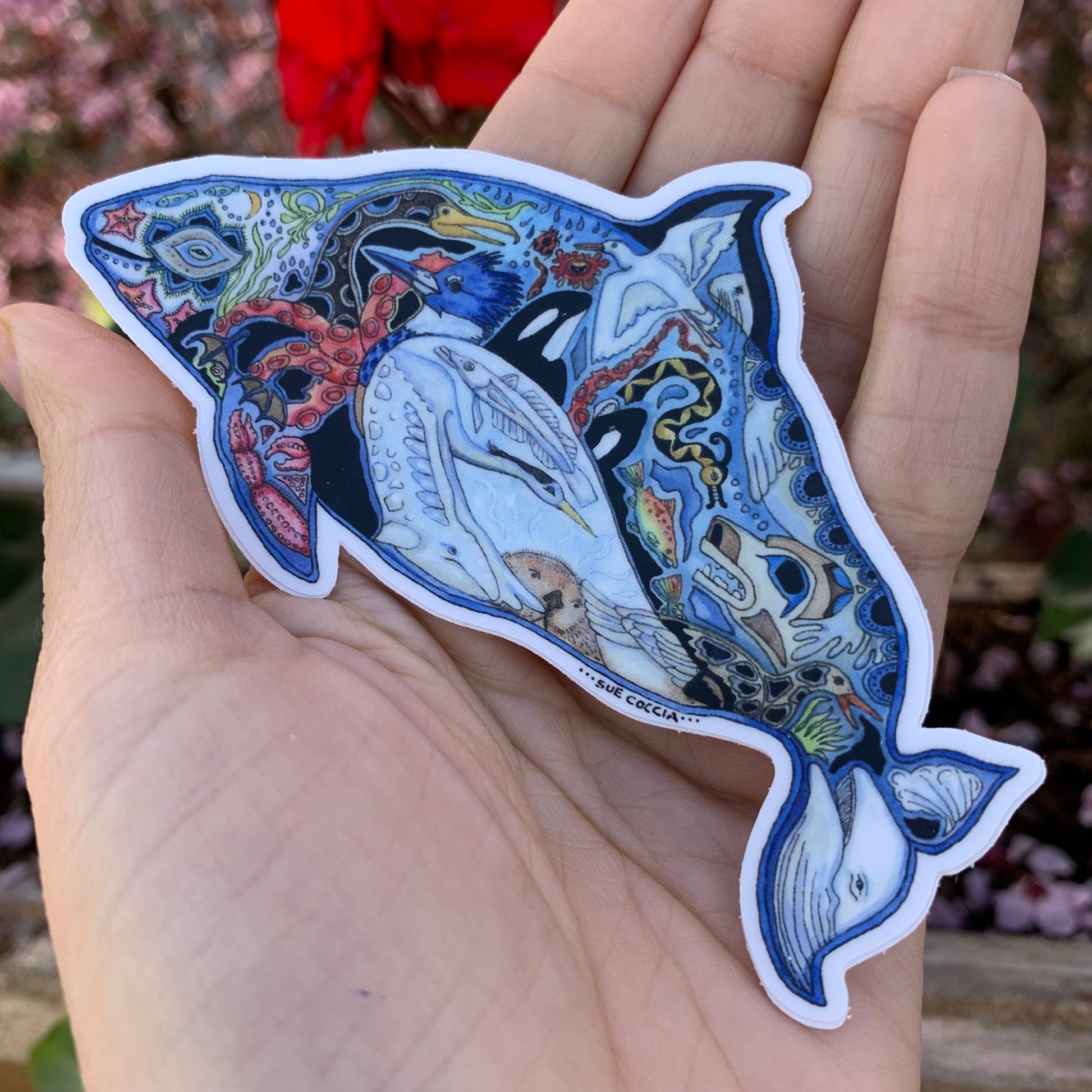 Dall’s Porpoise Sticker