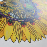 Sunflower Signed Print