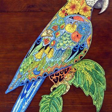 Macaw Jigsaw Puzzle