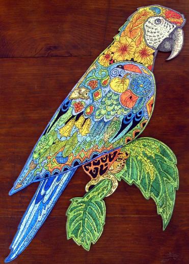 Macaw Jigsaw Puzzle